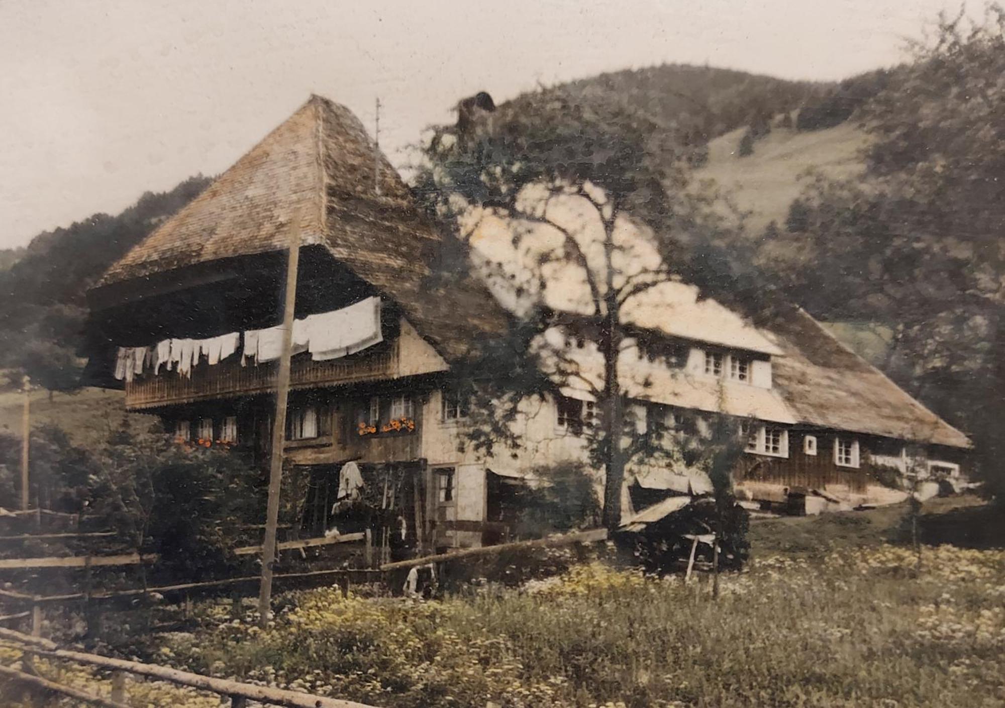 Ferienwohnungen Haus Hees Todtnau Exterior foto